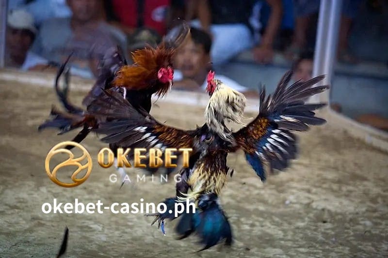 Ang Pilipinas ay isa sa pinakamalaking sentro ng sabong sa mundo, na nagho-host ng hanggang 15 milyong sabong bawat taon.