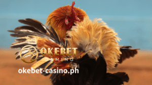 Sa kabutihang palad, sa online na sabong, malalaman mo kung gaano ka-agresibo ang isang sabong.